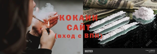 шишки Балахна
