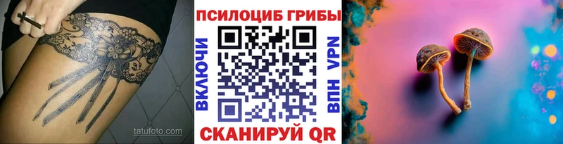 Галлюциногенные грибы Cubensis  Шарья 